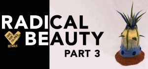 Radical Beauty Part 3