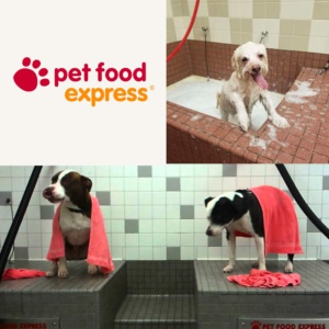 10 Dog Wash Tokens from Pet Food Express