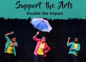 Support the Arts web banner