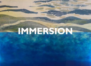 Immersion christo ginny web