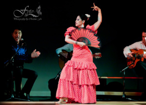 flamenco a las 8 2025 web